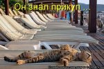 1330692160_kotomatrix_21.jpg