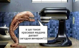 1689323745237.png