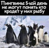 1689418776719.png