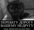 1689445895890.png