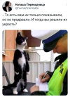 1689445926132.png