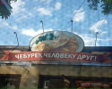 1689446106498.png