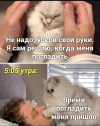 1689446291888.png