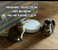1689446318235.png