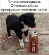 1689578982002.png