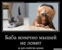 мышей.jpg