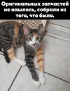 1689700395474.png