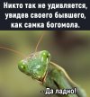 богомол.jpg