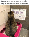 1689755033934.png