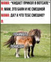 1689794039012.png
