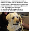 1689838726999.png