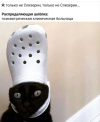 1689844848651.png