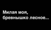 1690209659720.png