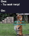 1690387822648.png