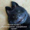 1690403666514.png