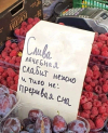 1690529856442.png