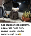 1690610898849.png