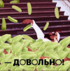 1690630059448.png