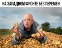 1690630158190.png