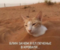 1690738261099.png