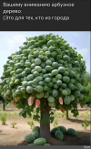 1690821245142.png