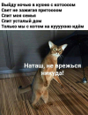 1690871374479.png