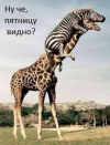 1691226155094.png