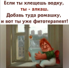 1691263533222.png