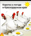 1691419427320.png