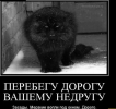 1691478088269.png