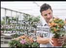1691490454990.png