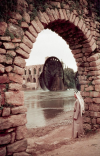1691518048424.png