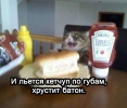 1691582408165.png