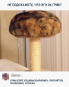 1691659832284.png