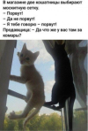 1691675097861.png