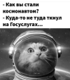 1691833389941.png