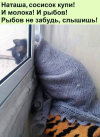 1691860593607.png