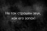 1691941293674.png