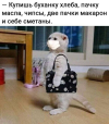1691941604550.png