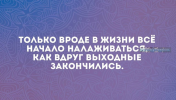 1691996833356.png