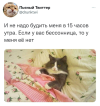 1692087168301.png