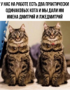 1692118559972.png