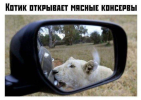 1692338862971.png