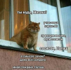 1692338935545.png