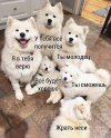 1692359490650.png