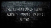1692381650081.png