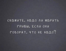 1692551270520.png