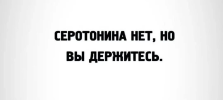 1692720743765.png