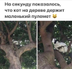 1692721812159.png