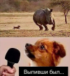 1692723149262.png